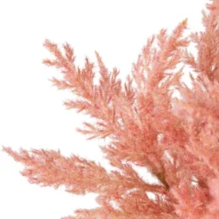 Northlight 12" Pink Cypress Artificial Plant In A Ceramic Pot -Northlight Décor Sales GUEST 03a672dc 583b 4dfc ae55 a7dc61a23e18