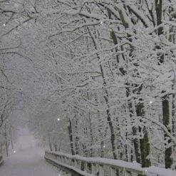 Northlight Large Fiber Optic Lighted Winter Wooden Bridge Canvas Wall Art 23.5" X 15.5"