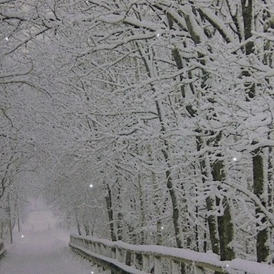 Northlight Large Fiber Optic Lighted Winter Wooden Bridge Canvas Wall Art 23.5" X 15.5" 1 Northlight Large Fiber Optic Lighted Winter Wooden Bridge Canvas Wall Art 23.5" X 15.5"