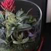 Northlight 8" Mixed Succulent Artificial Arrangement In Round Glass Jar - Green/Pink