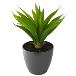 Northlight 22" Potted Green Artificial Agave Plant 7 Northlight 22" Potted Green Artificial Agave Plant -Northlight Décor Sales GUEST 0e5bb128 6f1c 47d6 a2c7 a0229410da89
