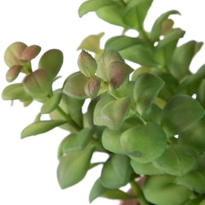 Northlight Real Touch™ Artificial Privet Plant In Vintage Milk Can Style Earthenware Pot - 14" 5 Northlight Real Touch™ Artificial Privet Plant In Vintage Milk Can Style Earthenware Pot - 14" - Image 5