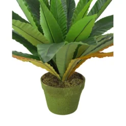 Northlight 22" Bird Nest Fern Artificial Potted Plant - Green/Brown