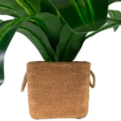 Northlight 27" Artificial Dracaena Plant In Square Rattan Pattern Ceramic Pot 6 Northlight 27" Artificial Dracaena Plant In Square Rattan Pattern Ceramic Pot -Northlight Décor Sales GUEST 1c7e1b17 a527 43c8 8e69 a69711bc1c02