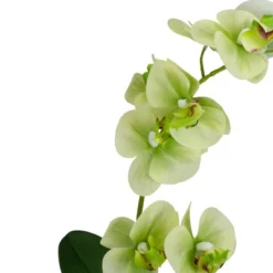 Northlight 14" Ivory, Green, And White Artificial Orchid Potted Plant Tabletop Decor -Northlight Décor Sales GUEST 205123bd 5059 4a03 beaa eb6f8a67b558