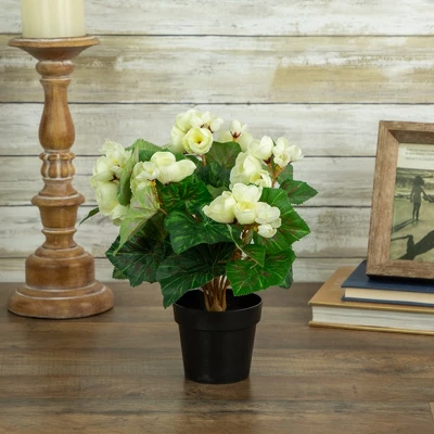 Northlight 11" Cream Potted Silk Begonia Spring Artificial Floral Arrangement 1 Northlight 11" Cream Potted Silk Begonia Spring Artificial Floral Arrangement
