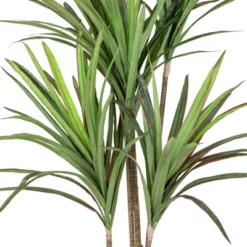 Northlight 5.5' Green Artificial Dracaena Marginata Plant In Black Pot 6 Northlight 5.5' Green Artificial Dracaena Marginata Plant In Black Pot -Northlight Décor Sales GUEST 2433163b 63e2 41da 8c25 fe784d6655a0