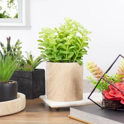 Northlight 10" Green Artificial Privet Plant In Faux Wood Pot 1 Northlight 10" Green Artificial Privet Plant In Faux Wood Pot