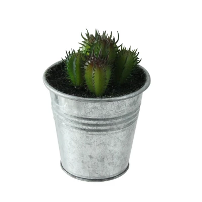 Northlight 4" Echeveria Succulent In Watering Can Artificial Potted Plant - Green/Silver 3 Northlight 4" Echeveria Succulent In Watering Can Artificial Potted Plant - Green/Silver - Image 3