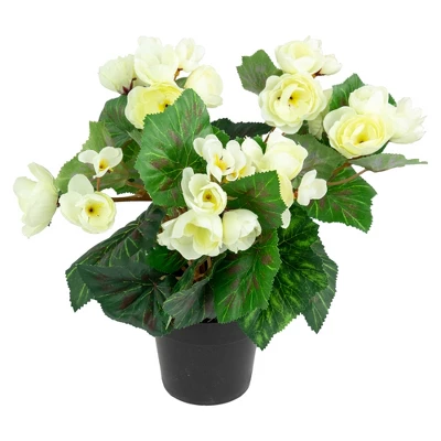 Northlight 11" Cream Potted Silk Begonia Spring Artificial Floral Arrangement 2 Northlight 11" Cream Potted Silk Begonia Spring Artificial Floral Arrangement - Image 2