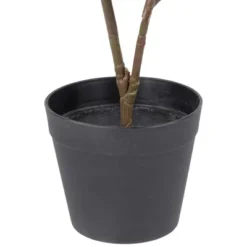 Northlight 26" Dark Green Artificial Potted Fiddle-Leaf Fig Plant -Northlight Décor Sales GUEST 29d5a747 a031 4651 8e67 5ce3cad6096b