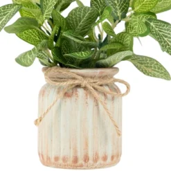 Northlight 8" Reticulated Artificial Spring Foliage In Ceramic Pot 6 Northlight 8" Reticulated Artificial Spring Foliage In Ceramic Pot -Northlight Décor Sales GUEST 2a150ba0 f3c2 48fb acde 26cedcb69821