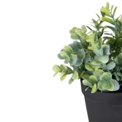 Northlight 10" Green Artificial Melia Azedarach Plant In Black Pot 6 Northlight 10" Green Artificial Melia Azedarach Plant In Black Pot -Northlight Décor Sales GUEST 2af5ee98 f287 4cb9 a27e d2a616a5cd68