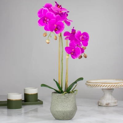 Northlight 14" Purple Artificial Orchid Plant With A Gray Stone Pot 1 Northlight 14" Purple Artificial Orchid Plant With A Gray Stone Pot
