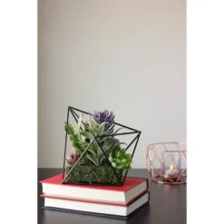 Northlight 6.75" Succulent Artificial Arrangement In Black Wire Terrarium - Green/Black -Northlight Décor Sales GUEST 2d318011 0689 4fe6 844c d1d2e766a352