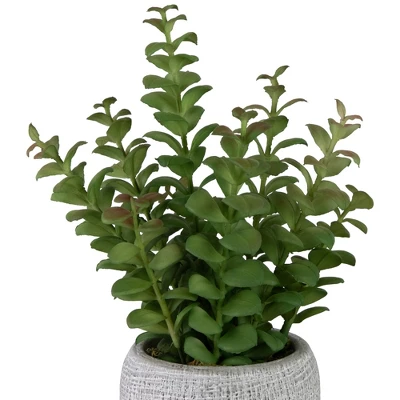 Northlight 12" Artificial Privet Plant In Gray Stone Pot 4 Northlight 12" Artificial Privet Plant In Gray Stone Pot - Image 4