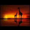Northlight Safari Sunset LED Back Lit Giraffe And Baby Canvas Wall Art 11.75" X 15.75"