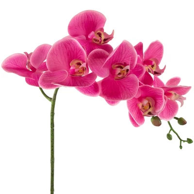 Northlight Real Touch™ Pink Artificial Spring Orchids In A Striped Ceramic Pot 2" 2 Northlight Real Touch™ Pink Artificial Spring Orchids In A Striped Ceramic Pot 2" - Image 2
