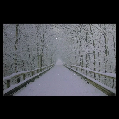 Northlight Large Fiber Optic Lighted Winter Wooden Bridge Canvas Wall Art 23.5" X 15.5" 2 Northlight Large Fiber Optic Lighted Winter Wooden Bridge Canvas Wall Art 23.5" X 15.5" - Image 2