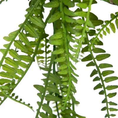 Northlight 18" Artificial Fern Plant With Moss Ball And Hanging Jute Cord 5 Northlight 18" Artificial Fern Plant With Moss Ball And Hanging Jute Cord - Image 5