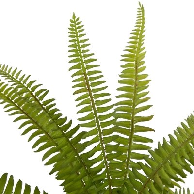 Northlight 12" Artificial Boston Fern Plant In Aztec Pattern Ceramic Pot 5 Northlight 12" Artificial Boston Fern Plant In Aztec Pattern Ceramic Pot - Image 5