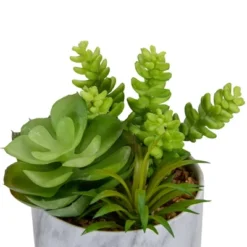 Northlight 6.5" Green Artificial Succulent Arrangement In Faux Marble Pot 7 Northlight 6.5" Green Artificial Succulent Arrangement In Faux Marble Pot -Northlight Décor Sales GUEST 489e735f 017d 4192 b021 3c87507944ae