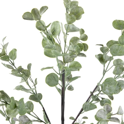 Northlight Real Touch™ Artificial Eucalyptus Tree In Black Pot 53" 4 Northlight Real Touch™ Artificial Eucalyptus Tree In Black Pot 53" - Image 4