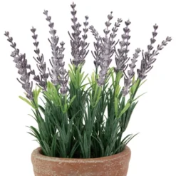 Northlight 10" Artificial Lavender And Leaves In Weathered Pot 7 Northlight 10" Artificial Lavender And Leaves In Weathered Pot -Northlight Décor Sales GUEST 4f53505c 6a41 4a6f bcdd 3dc687d2d4e1