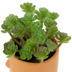 Northlight 5.5" Mini Artificial Succulent In Face Planter Pot -Northlight Décor Sales GUEST 55a0520b 8ac1 4bbc 9eb9 fa86aa194d20