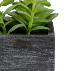 Northlight 23" Artificial Mixed Succulent Plants In A Rectangular Planter -Northlight Décor Sales GUEST 56524abe c9b9 4043 a816 86adb8d65395