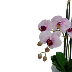 Northlight 21" Pink And White Artificial Orchid Plant In A White Pot -Northlight Décor Sales GUEST 5b9e67f6 80e1 4e1d abf2 c60d1a391750