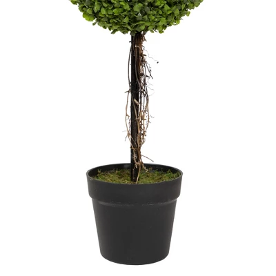 Northlight 4' Unlit Artificial Potted Two Tone Green Double Ball Boxwood Topiary Garden Tree 3 Northlight 4' Unlit Artificial Potted Two Tone Green Double Ball Boxwood Topiary Garden Tree - Image 3