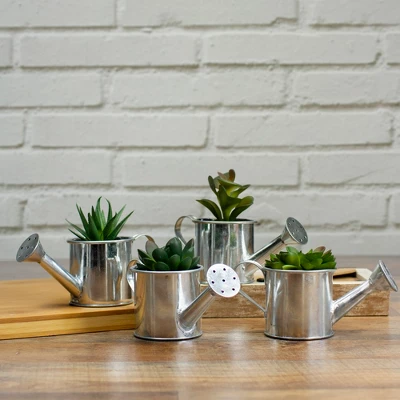 Northlight 4" Echeveria Succulent In Watering Can Artificial Potted Plant - Green/Silver 1 Northlight 4" Echeveria Succulent In Watering Can Artificial Potted Plant - Green/Silver