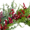 Northlight Frosted Red Berries Artificial Christmas Wreath - 26-Inch, Unlit