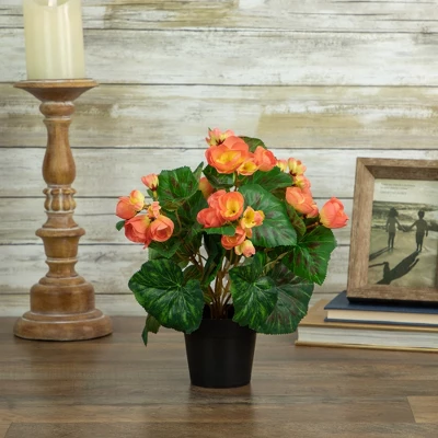 Northlight 11" Coral Pink Potted Silk Begonia Spring Artificial Floral Arrangement 1 Northlight 11" Coral Pink Potted Silk Begonia Spring Artificial Floral Arrangement