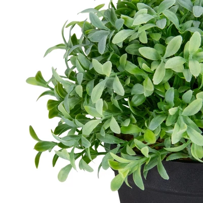 Northlight 7.5" Potted Green Artificial Boxwood Plant 3 Northlight 7.5" Potted Green Artificial Boxwood Plant - Image 3