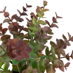 Northlight Real Touch™ Two-Toned Spring Eucalyptus Leaves Artificial Plant In Ceramic Pot 10" 9 Northlight Real Touch™ Two-Toned Spring Eucalyptus Leaves Artificial Plant In Ceramic Pot 10" -Northlight Décor Sales GUEST 6b81ee26 1299 4515 8cbb d005bdd71c54