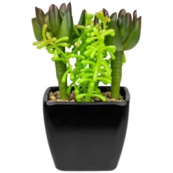Northlight 6" Potted Green Artificial Succulent Arrangement 9 Northlight 6" Potted Green Artificial Succulent Arrangement -Northlight Décor Sales GUEST 7047a777 7b19 417f 8e92 9b4b2a6a2f3a