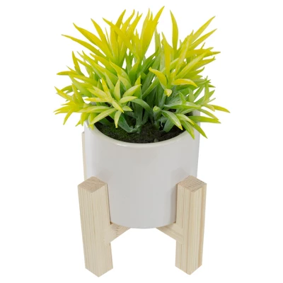 Northlight 8" Potted Green Artificial Succulent With Wooden Stand 4 Northlight 8" Potted Green Artificial Succulent With Wooden Stand - Image 4