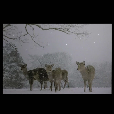 Northlight Large Fiber Optic Lighted Winter Woods With Deer Canvas Wall Art 23.5" X 15.5" 2 Northlight Large Fiber Optic Lighted Winter Woods With Deer Canvas Wall Art 23.5" X 15.5" - Image 2