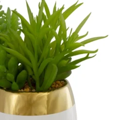 Northlight 6.5" Potted Mixed Artificial Succulent Arrangement -Northlight Décor Sales GUEST 73b2c1c8 dbbb 4870 963b 22d6a22f5291