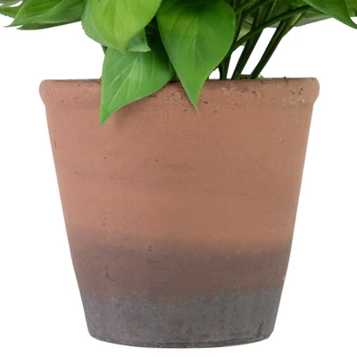 Northlight Real Touch™ Artificial Peperomia Watermelon Begonia Plant In Terracotta Style Pot - 7" 3 Northlight Real Touch™ Artificial Peperomia Watermelon Begonia Plant In Terracotta Style Pot - 7" - Image 3