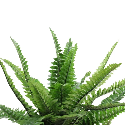 Northlight 17.5" Potted Artificial Green Boston Fern Plant 1 Northlight 17.5" Potted Artificial Green Boston Fern Plant