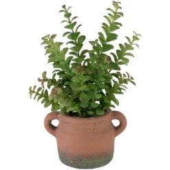 Northlight Real Touch™ Artificial Privet Plant In Vintage Milk Can Style Earthenware Pot - 14" 10 Northlight Real Touch™ Artificial Privet Plant In Vintage Milk Can Style Earthenware Pot - 14" -Northlight Décor Sales GUEST 7bb5343f 410d 43a4 a6ac 409a8d669a88
