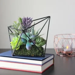 Northlight 6.75" Succulent Artificial Arrangement In Black Wire Terrarium - Green/Black -Northlight Décor Sales GUEST 7bdc1a4f 441b 4904 b57c e601a0a7560e