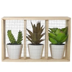 Northlight 10.75" Artificial Mixed Potted Succulents In Wooden Box 6 Northlight 10.75" Artificial Mixed Potted Succulents In Wooden Box -Northlight Décor Sales GUEST 7c645dbe 002a 4fb4 9448 945b9fe90901