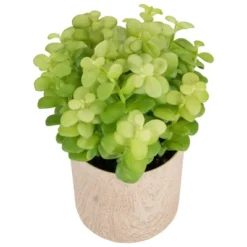 Northlight 10" Green Artificial Privet Plant In Faux Wood Pot 7 Northlight 10" Green Artificial Privet Plant In Faux Wood Pot -Northlight Décor Sales GUEST 826077f3 7e52 4950 9200 f6f80579cc86