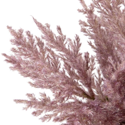 Northlight 12" Artificial Purple Cypress Plant In A Ceramic Pot 5 Northlight 12" Artificial Purple Cypress Plant In A Ceramic Pot - Image 5
