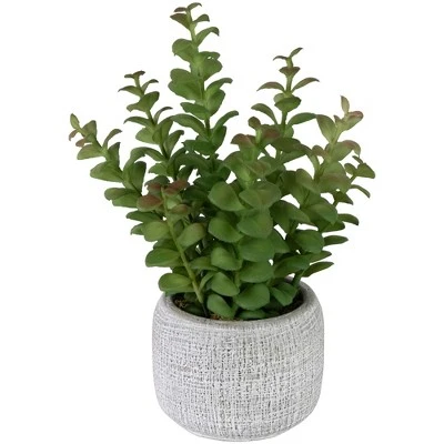 Northlight 12" Artificial Privet Plant In Gray Stone Pot 2 Northlight 12" Artificial Privet Plant In Gray Stone Pot - Image 2