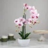 Northlight 21" Pink And White Artificial Orchid Plant In A White Pot